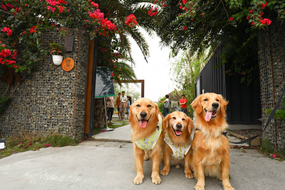 屏東里港美食|水明漾活蝦景觀餐廳。秒穿峇里島風情,坐在發呆亭品嚐熱炒蝦料理、寵物友善 - 第2張圖 屏東里港美食|水明漾活蝦景觀餐廳。秒穿峇里島風情,坐在發呆亭品嚐熱炒蝦料理、寵物友善