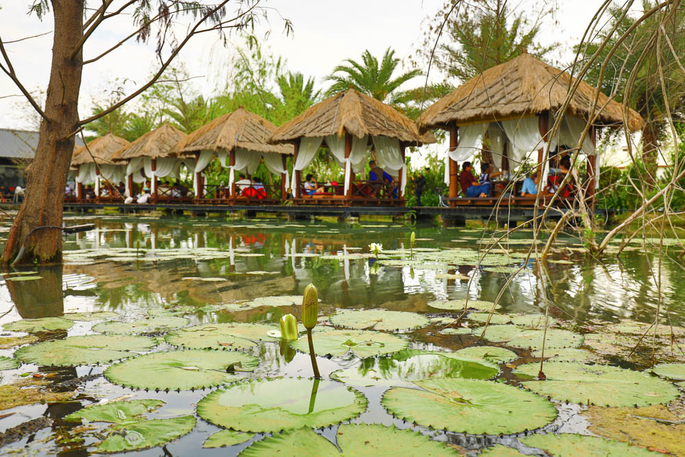 屏東里港美食|水明漾活蝦景觀餐廳。秒穿峇里島風情,坐在發呆亭品嚐熱炒蝦料理、寵物友善 - 第4張圖 屏東里港美食|水明漾活蝦景觀餐廳。秒穿峇里島風情,坐在發呆亭品嚐熱炒蝦料理、寵物友善