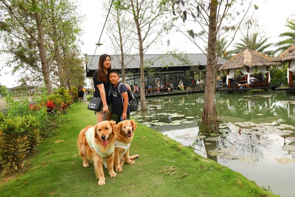 屏東里港美食|水明漾活蝦景觀餐廳。秒穿峇里島風情,坐在發呆亭品嚐熱炒蝦料理、寵物友善 - 第7張圖 屏東里港美食|水明漾活蝦景觀餐廳。秒穿峇里島風情,坐在發呆亭品嚐熱炒蝦料理、寵物友善