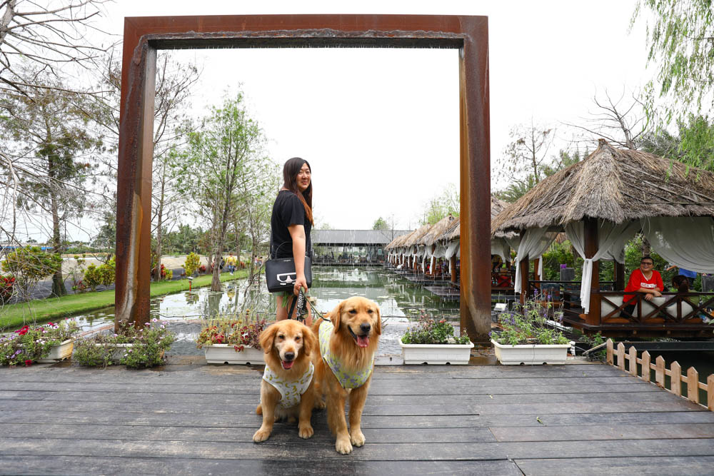 屏東里港美食|水明漾活蝦景觀餐廳。秒穿峇里島風情,坐在發呆亭品嚐熱炒蝦料理、寵物友善 - 第3張圖 屏東里港美食|水明漾活蝦景觀餐廳。秒穿峇里島風情,坐在發呆亭品嚐熱炒蝦料理、寵物友善
