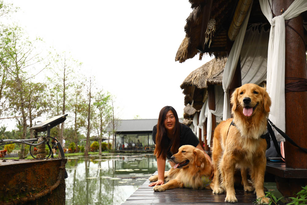 屏東里港美食|水明漾活蝦景觀餐廳。秒穿峇里島風情,坐在發呆亭品嚐熱炒蝦料理、寵物友善 - 第10張圖 屏東里港美食|水明漾活蝦景觀餐廳。秒穿峇里島風情,坐在發呆亭品嚐熱炒蝦料理、寵物友善