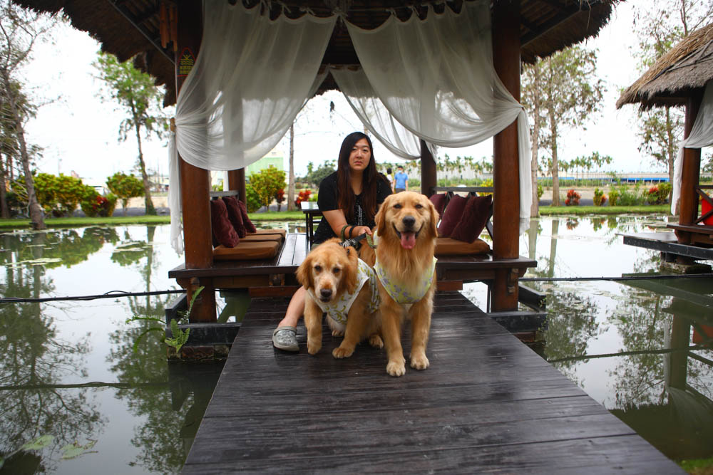 屏東里港美食|水明漾活蝦景觀餐廳。秒穿峇里島風情,坐在發呆亭品嚐熱炒蝦料理、寵物友善 - 第11張圖 屏東里港美食|水明漾活蝦景觀餐廳。秒穿峇里島風情,坐在發呆亭品嚐熱炒蝦料理、寵物友善