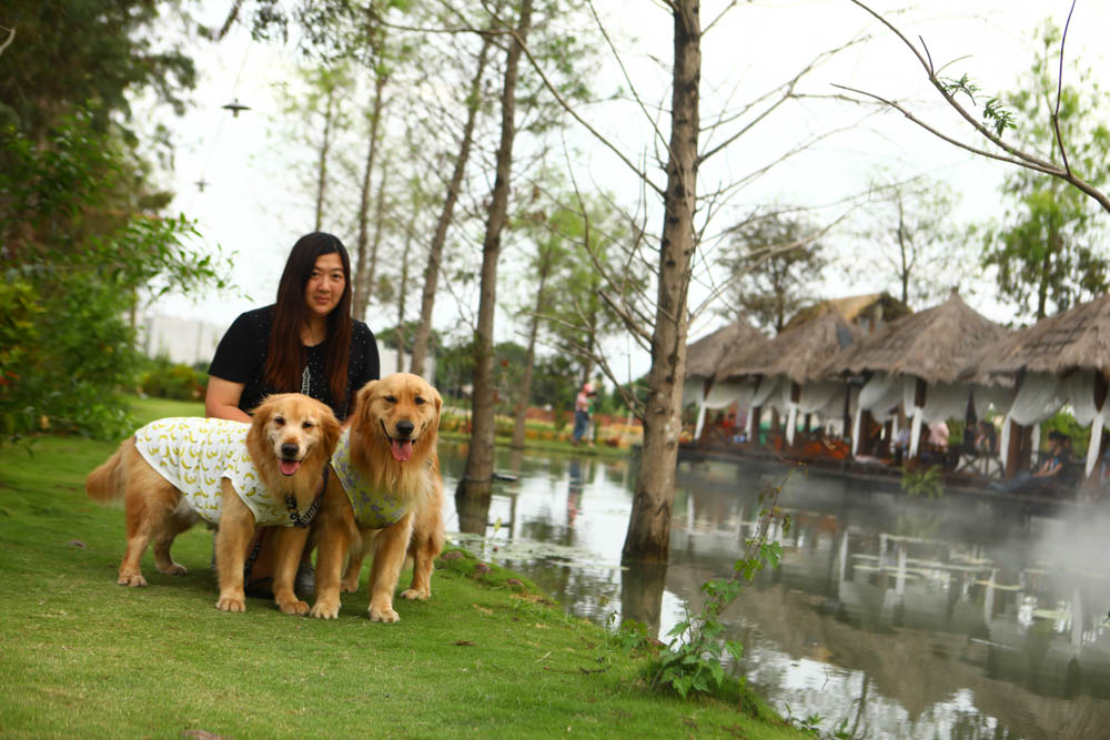屏東里港美食|水明漾活蝦景觀餐廳。秒穿峇里島風情,坐在發呆亭品嚐熱炒蝦料理、寵物友善 - 第15張圖 屏東里港美食|水明漾活蝦景觀餐廳。秒穿峇里島風情,坐在發呆亭品嚐熱炒蝦料理、寵物友善