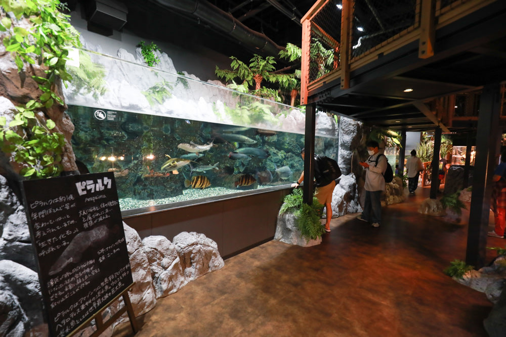 沖繩南部新景點｜DMM Kariyushi水族館。沖繩最新水族館、結合沖繩陸地、海洋生態神秘療癒的超夢幻水族館！！