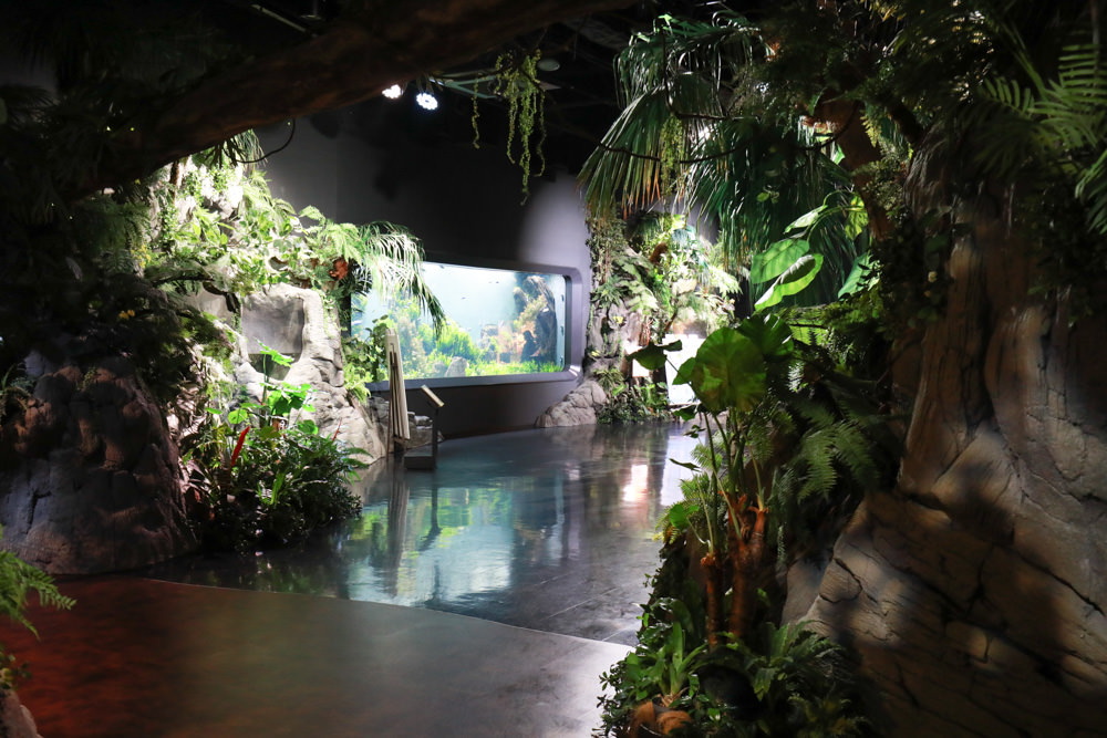 沖繩南部新景點｜DMM Kariyushi水族館。沖繩最新水族館、結合沖繩陸地、海洋生態神秘療癒的超夢幻水族館！！