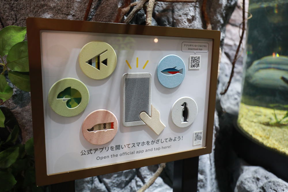 沖繩南部新景點｜DMM Kariyushi水族館。沖繩最新水族館、結合沖繩陸地、海洋生態神秘療癒的超夢幻水族館！！