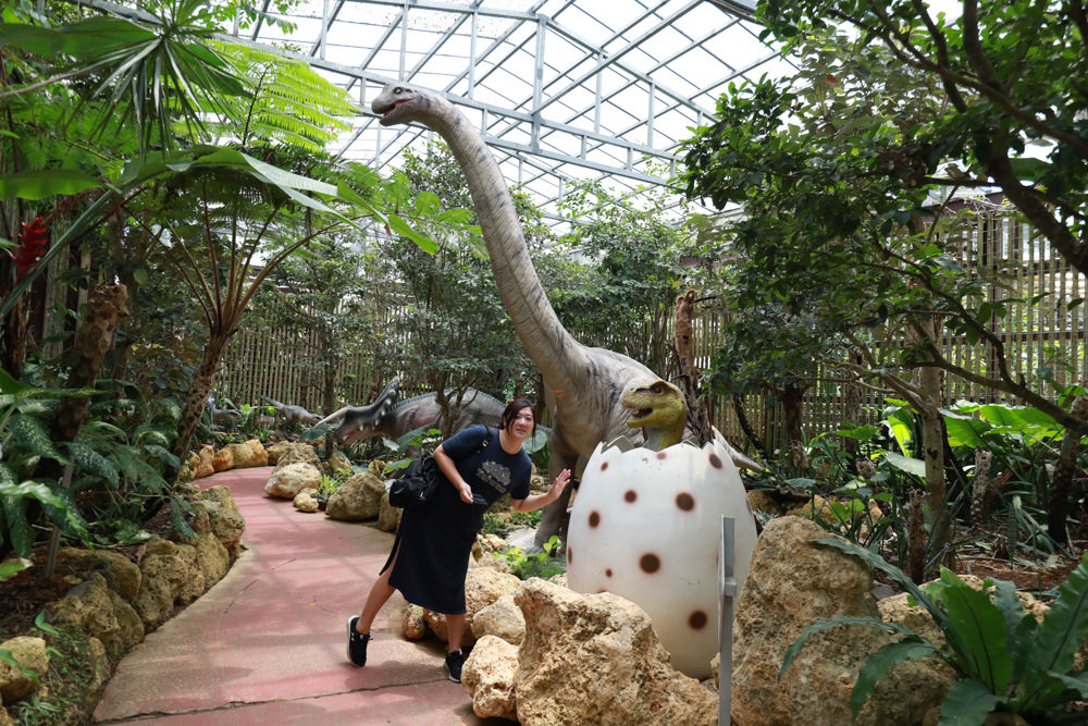 沖繩北部親子景點｜名護鳳梨園、全新推出恐龍冒險之旅 。可愛吸睛自動駕駛鳳梨號導覽車、雨天備案