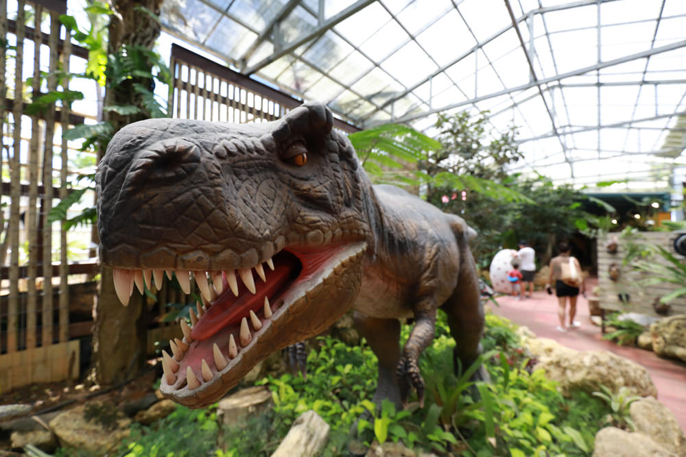 沖繩北部親子景點｜名護鳳梨園、全新推出恐龍冒險之旅 。可愛吸睛自動駕駛鳳梨號導覽車、雨天備案