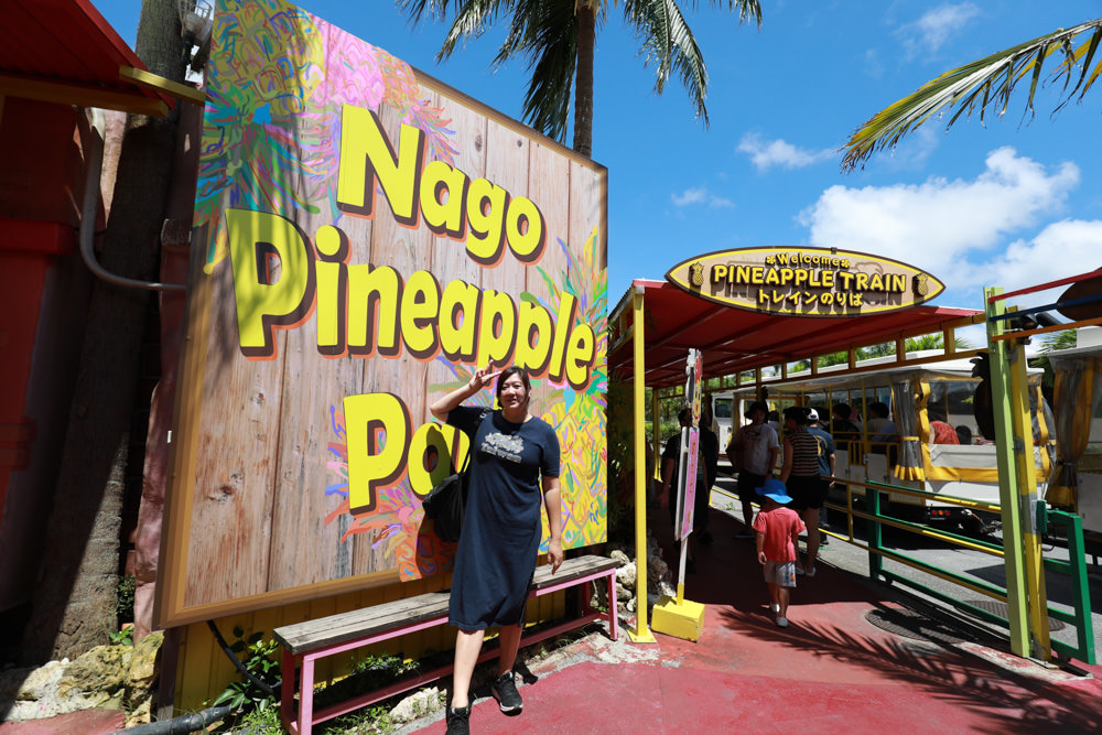 沖繩北部親子景點｜名護鳳梨園、全新推出恐龍冒險之旅 。可愛吸睛自動駕駛鳳梨號導覽車、雨天備案