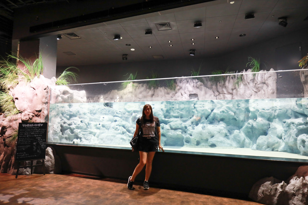 沖繩南部新景點｜DMM Kariyushi水族館。沖繩最新水族館、結合沖繩陸地、海洋生態神秘療癒的超夢幻水族館！！