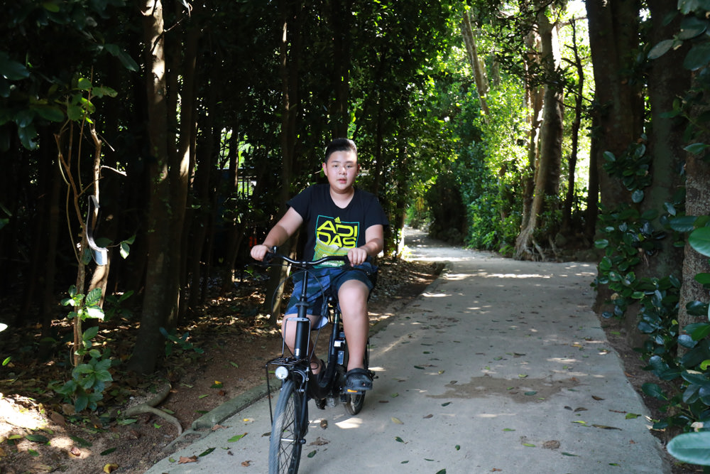 沖繩北部私房景點|備瀨福木林道、備瀨崎海岸。騎腳踏車穿梭在300年歷史的綠色隧道 - 第17張圖 沖繩北部私房景點|備瀨福木林道、備瀨崎海岸。騎腳踏車穿梭在300年歷史的綠色隧道