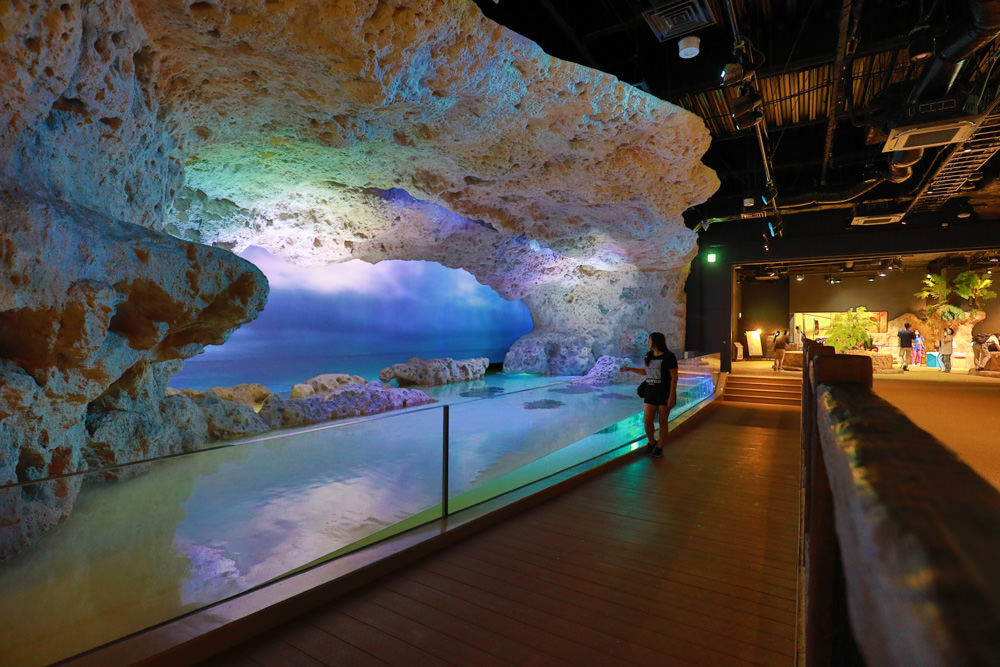 沖繩南部新景點｜DMM Kariyushi水族館。沖繩最新水族館、結合沖繩陸地、海洋生態神秘療癒的超夢幻水族館！！