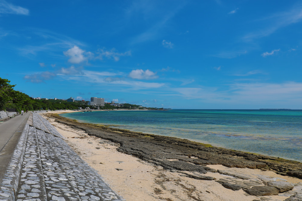 沖繩北部私房景點|備瀨福木林道、備瀨崎海岸。騎腳踏車穿梭在300年歷史的綠色隧道 - 第12張圖 沖繩北部私房景點|備瀨福木林道、備瀨崎海岸。騎腳踏車穿梭在300年歷史的綠色隧道