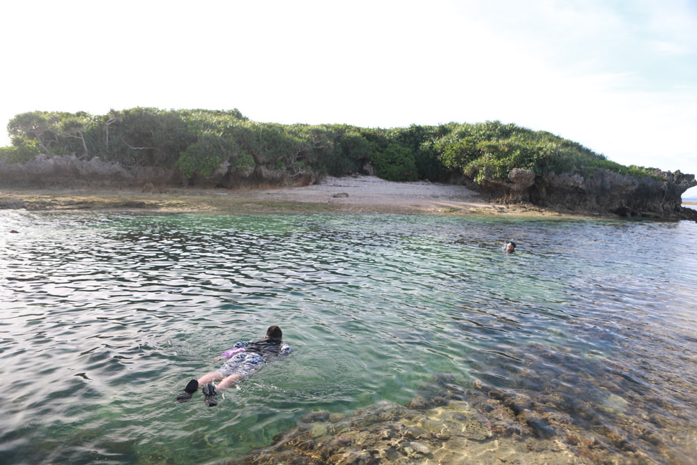 沖繩北部私房景點|備瀨福木林道、備瀨崎海岸。騎腳踏車穿梭在300年歷史的綠色隧道 - 第14張圖 沖繩北部私房景點|備瀨福木林道、備瀨崎海岸。騎腳踏車穿梭在300年歷史的綠色隧道