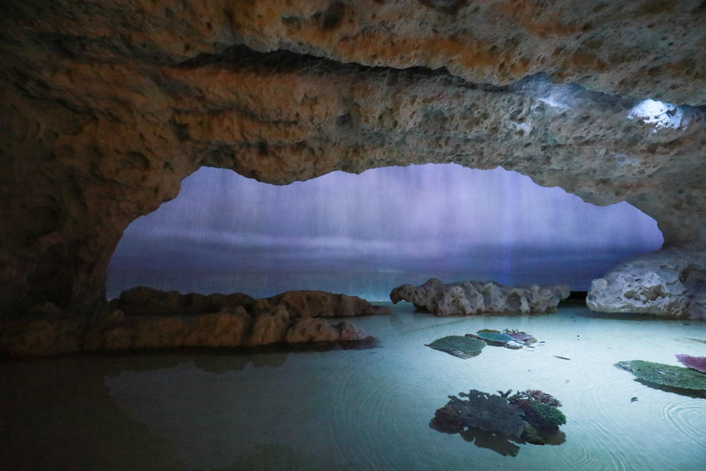 沖繩南部新景點｜DMM Kariyushi水族館。沖繩最新水族館、結合沖繩陸地、海洋生態神秘療癒的超夢幻水族館！！