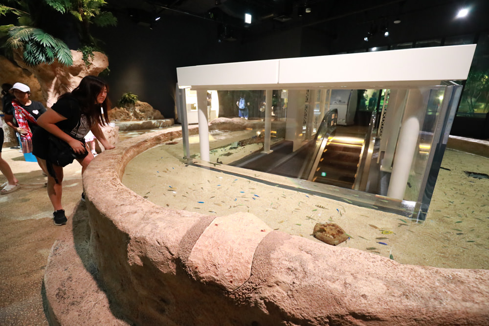 沖繩南部新景點｜DMM Kariyushi水族館。沖繩最新水族館、結合沖繩陸地、海洋生態神秘療癒的超夢幻水族館！！