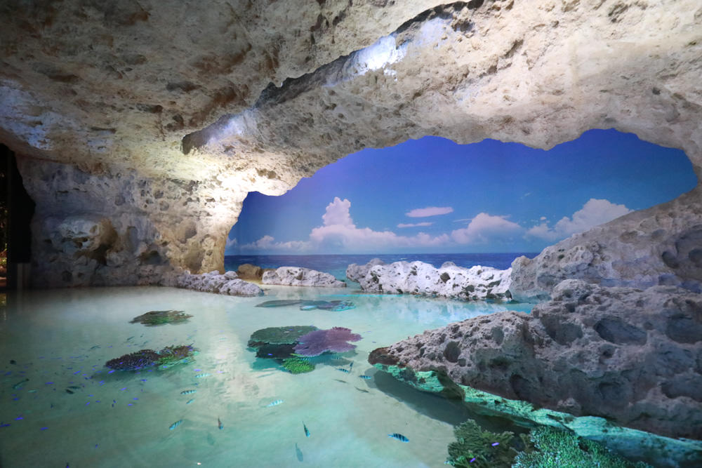 沖繩南部新景點｜DMM Kariyushi水族館。沖繩最新水族館、結合沖繩陸地、海洋生態神秘療癒的超夢幻水族館！！