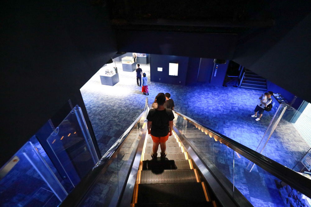 沖繩南部新景點｜DMM Kariyushi水族館。沖繩最新水族館、結合沖繩陸地、海洋生態神秘療癒的超夢幻水族館！！