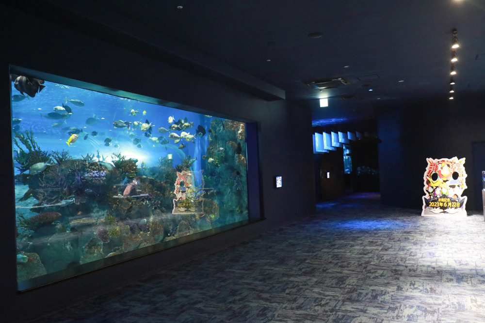 沖繩南部新景點｜DMM Kariyushi水族館。沖繩最新水族館、結合沖繩陸地、海洋生態神秘療癒的超夢幻水族館！！