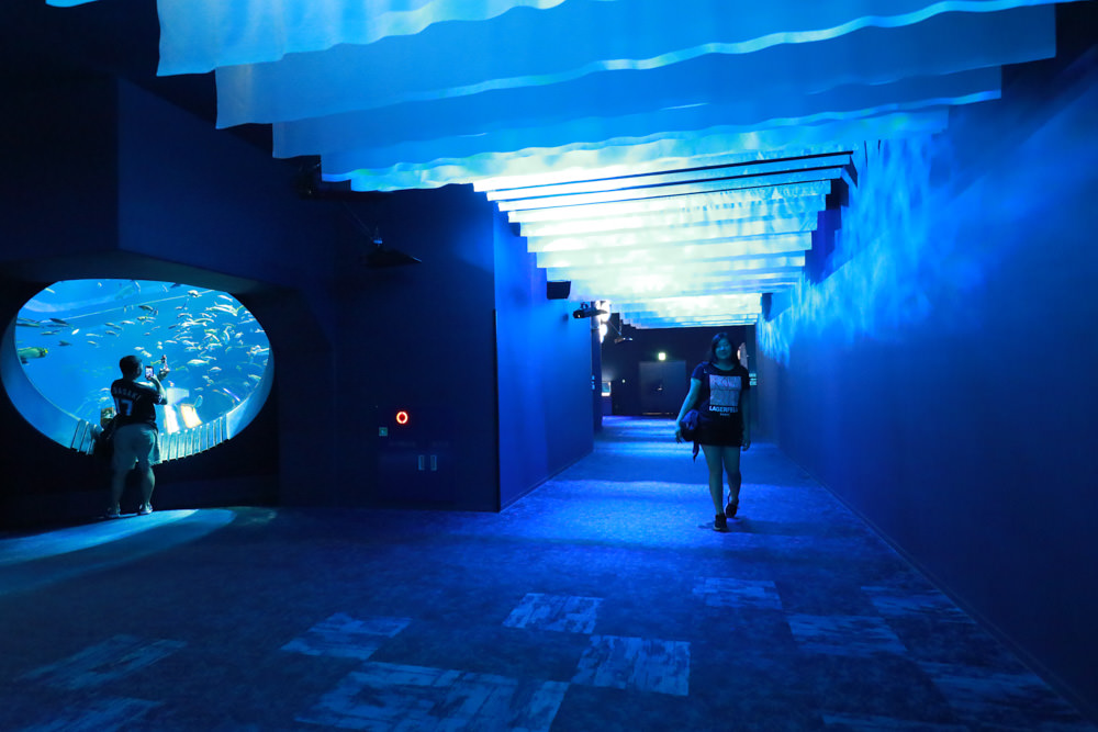 沖繩南部新景點｜DMM Kariyushi水族館。沖繩最新水族館、結合沖繩陸地、海洋生態神秘療癒的超夢幻水族館！！