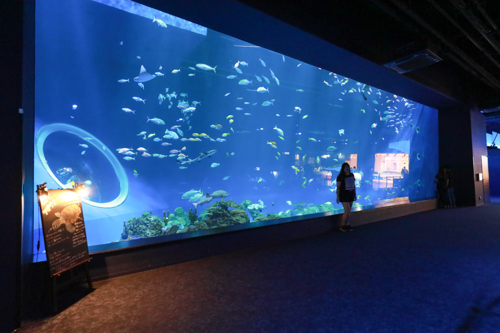 沖繩南部新景點｜DMM Kariyushi水族館。沖繩最新水族館、結合沖繩陸地、海洋生態神秘療癒的超夢幻水族館！！