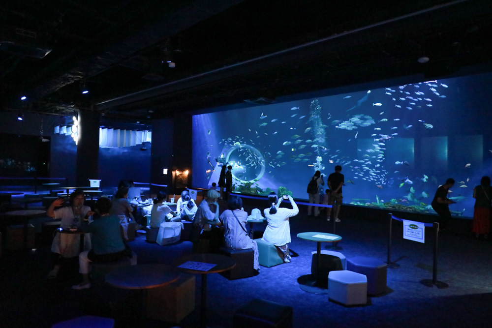 沖繩南部新景點｜DMM Kariyushi水族館。沖繩最新水族館、結合沖繩陸地、海洋生態神秘療癒的超夢幻水族館！！