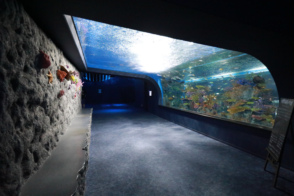 沖繩南部新景點｜DMM Kariyushi水族館。沖繩最新水族館、結合沖繩陸地、海洋生態神秘療癒的超夢幻水族館！！