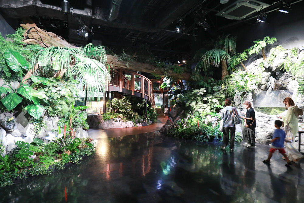 沖繩南部新景點｜DMM Kariyushi水族館。沖繩最新水族館、結合沖繩陸地、海洋生態神秘療癒的超夢幻水族館！！