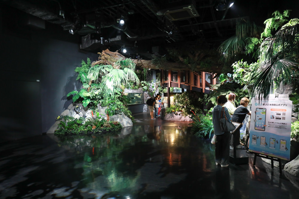 沖繩南部新景點｜DMM Kariyushi水族館。沖繩最新水族館、結合沖繩陸地、海洋生態神秘療癒的超夢幻水族館！！