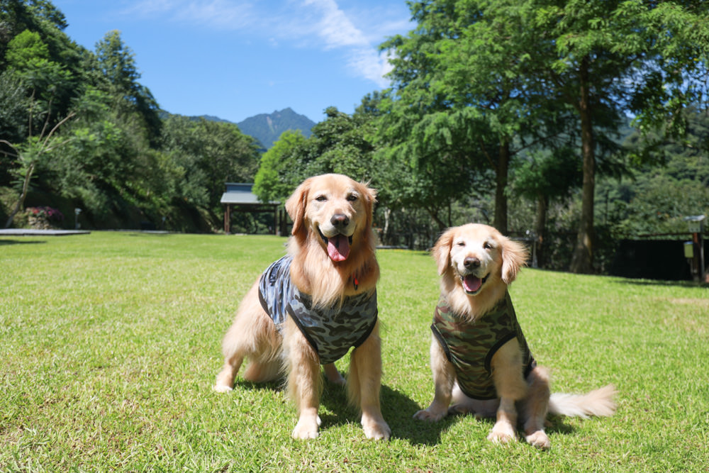 桃園復興|河那灣民宿露營區。絕美湖畔星空美景、草皮營位、寵物友善露營區、溪口部落、泰雅文化 - 第29張圖 桃園復興|河那灣民宿露營區。絕美湖畔星空美景、草皮營位、寵物友善露營區、溪口部落、泰雅文化