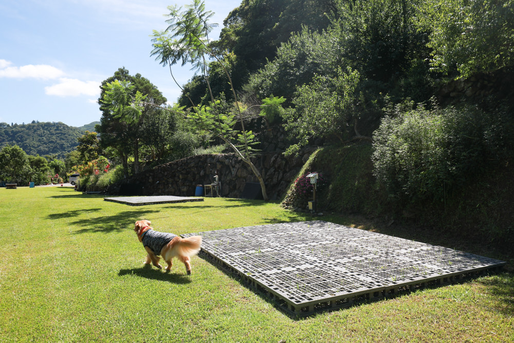 桃園復興|河那灣民宿露營區。絕美湖畔星空美景、草皮營位、寵物友善露營區、溪口部落、泰雅文化 - 第5張圖 桃園復興|河那灣民宿露營區。絕美湖畔星空美景、草皮營位、寵物友善露營區、溪口部落、泰雅文化