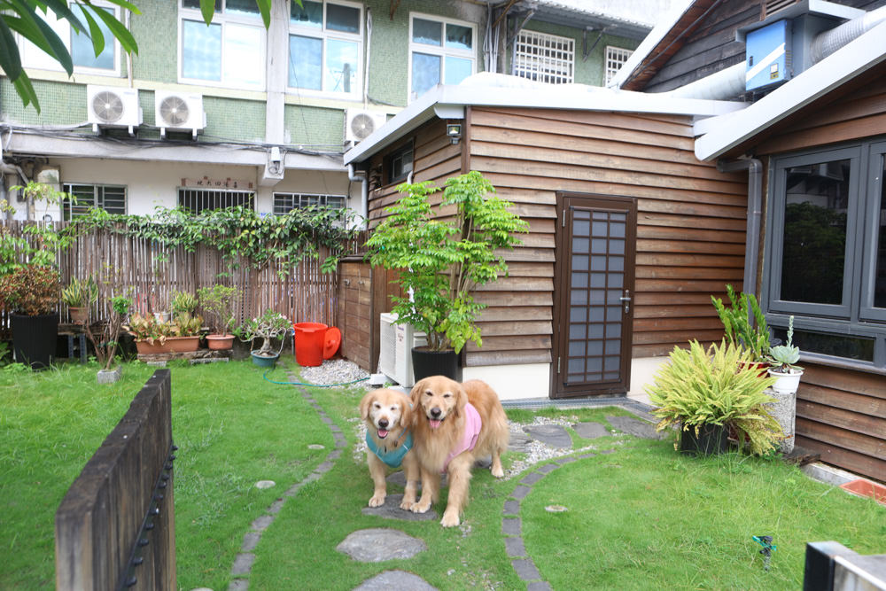 花蓮美食｜La Dérive思慕餐廚。寵物友善餐廳、預約制、花蓮在地食材融合法式無菜單料理