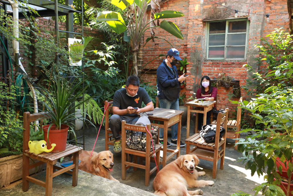 新店安坑美食|波波咖啡 Bo Coffee Roaster(波豆商行)。寵物友善餐廳、隱藏山中的老宅咖啡廳 - 第9張圖 新店安坑美食|波波咖啡 Bo Coffee Roaster(波豆商行)。寵物友善餐廳、隱藏山中的老宅咖啡廳