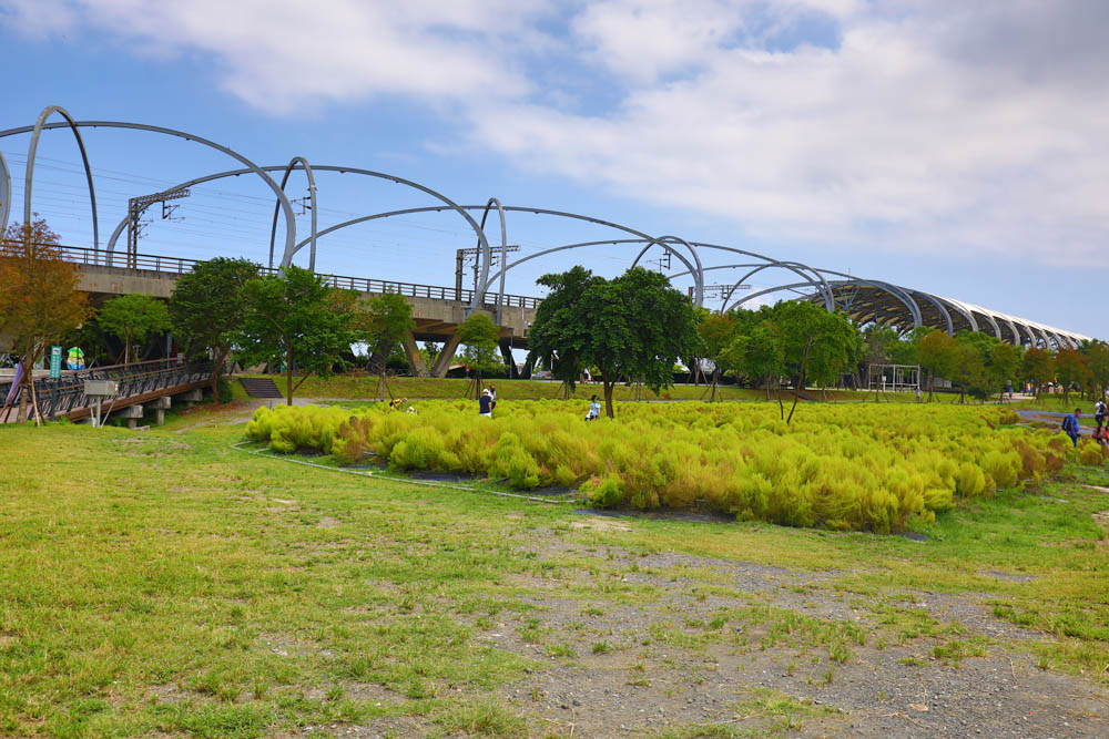 宜蘭冬山新景點|冬山車站旁的波波草、稻草捲心酥、彩虹屋,還有浪漫花海、絕美落羽松 - 第21張圖 宜蘭冬山新景點|冬山車站旁的波波草、稻草捲心酥、彩虹屋,還有浪漫花海、絕美落羽松