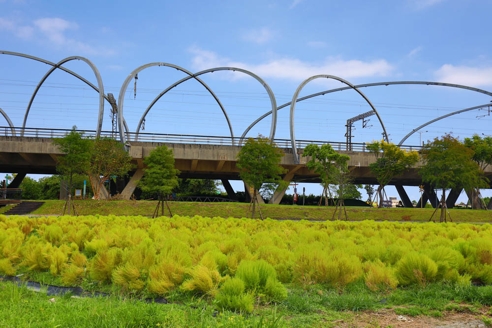 宜蘭冬山新景點|冬山車站旁的波波草、稻草捲心酥、彩虹屋,還有浪漫花海、絕美落羽松 - 第13張圖 宜蘭冬山新景點|冬山車站旁的波波草、稻草捲心酥、彩虹屋,還有浪漫花海、絕美落羽松