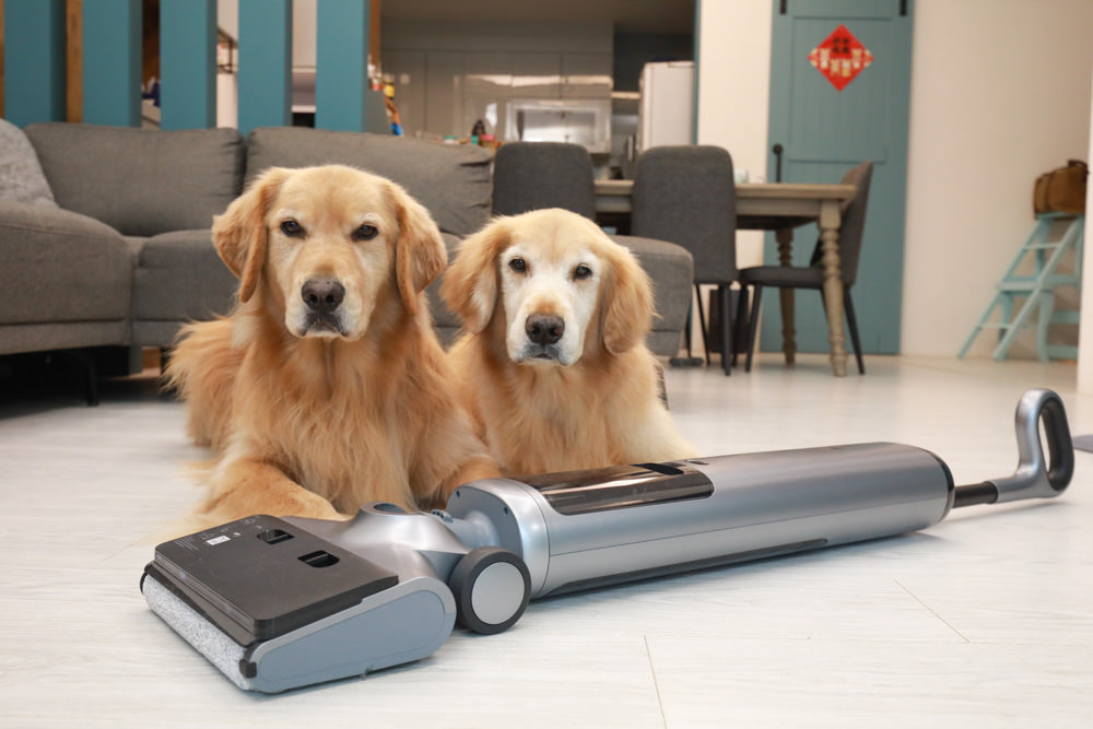 OSOTEK 順造H200黑豹無線吸拖一體洗地機。6合一吸塵/拖地/吸水/除菌/自動清潔/熱烘乾、全方位地板清潔、清潔打掃必備神器