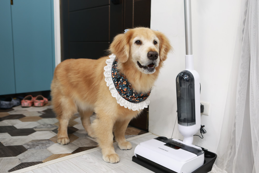 HIZERO赫茲智能仿生洗地機 F100｜多功能創新全能清潔、乾濕垃圾分離、徹底告別傳統吸拖