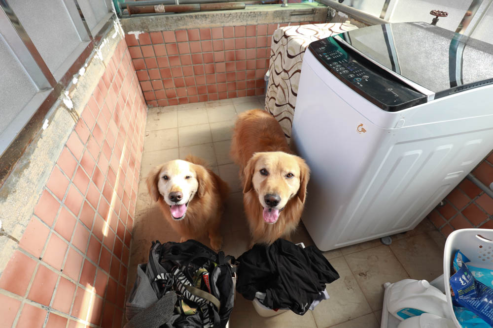 TECO東元14kg 變頻直立式洗衣機(W1411XW)。AI自動偵測衣物重量、省水、節能、變頻、靜音 - 第9張圖 TECO東元14kg 變頻直立式洗衣機(W1411XW)。AI自動偵測衣物重量、省水、節能、變頻、靜音