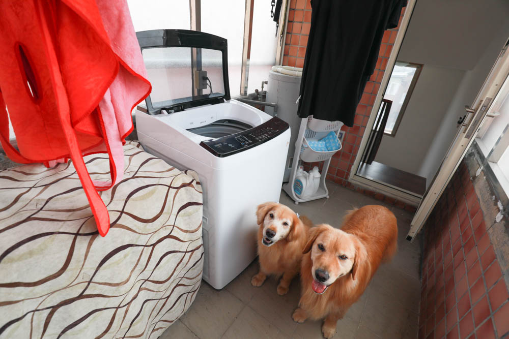 TECO東元14kg 變頻直立式洗衣機(W1411XW)。AI自動偵測衣物重量、省水、節能、變頻、靜音 - 第22張圖 TECO東元14kg 變頻直立式洗衣機(W1411XW)。AI自動偵測衣物重量、省水、節能、變頻、靜音