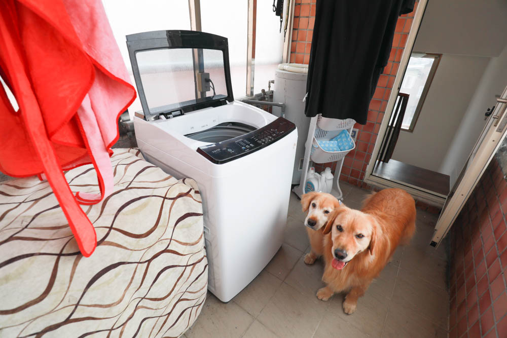 TECO東元14kg 變頻直立式洗衣機(W1411XW)。AI自動偵測衣物重量、省水、節能、變頻、靜音 - 第1張圖 TECO東元14kg 變頻直立式洗衣機(W1411XW)。AI自動偵測衣物重量、省水、節能、變頻、靜音