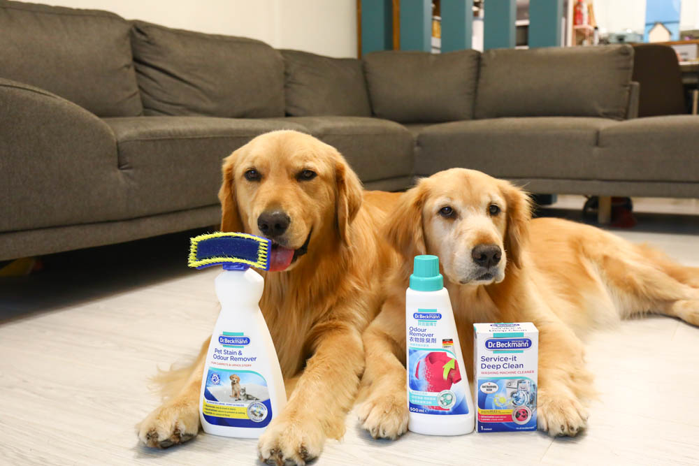 德國去漬專家Dr. Beckmann貝克曼博士｜寵物污漬、消毒衣物家飾異味、除漬、深層清潔洗衣機，簡單方便又輕鬆！！寵物家庭必備