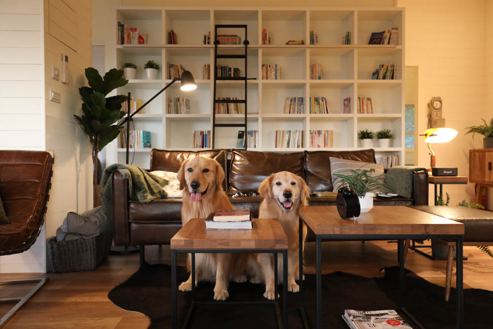 苗栗苑裡｜浩克森林小屋。寵物友善民宿、隱藏在森林中的秘境小木屋、好客八號穀倉小屋