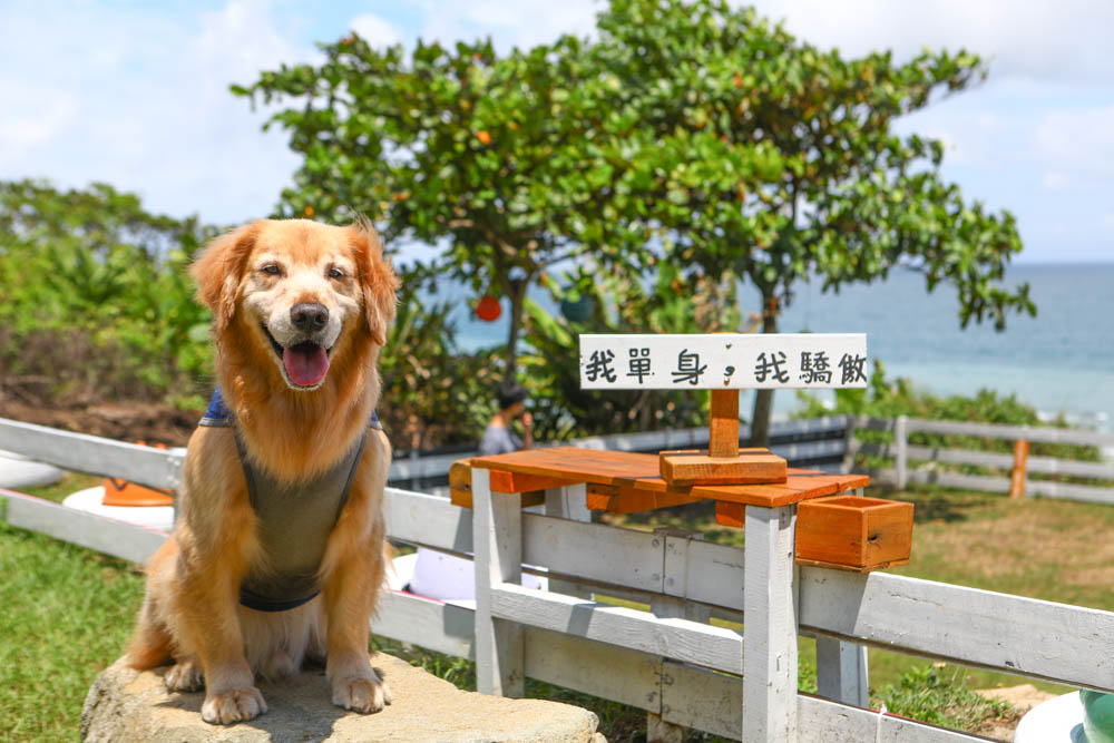 花蓮新景點｜浪。慢咖啡。絕美療癒系海景、網美IG打卡景點、寵物友善餐廳、海景咖啡廳