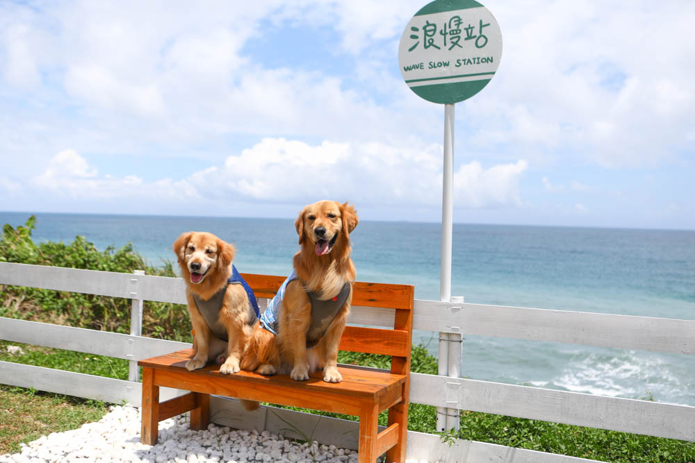 花蓮新景點｜浪。慢咖啡。絕美療癒系海景、網美IG打卡景點、寵物友善餐廳、海景咖啡廳