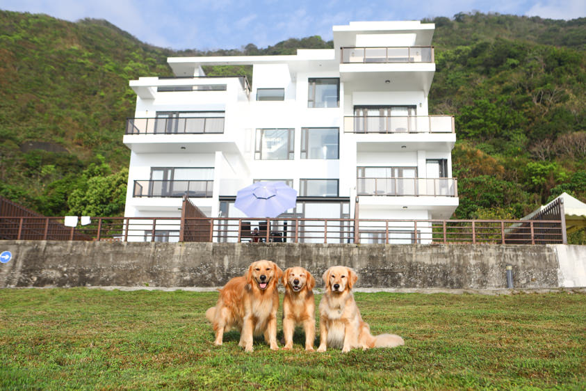 花蓮鹽寮海景民宿|海嵐行館。台11線上絕美純白寵物友善景觀民宿、綠草如茵大草皮 - 第1張圖 花蓮鹽寮海景民宿|海嵐行館。台11線上絕美純白寵物友善景觀民宿、綠草如茵大草皮
