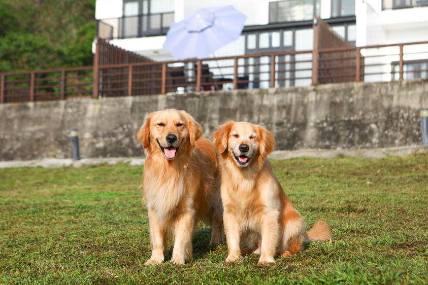 花蓮鹽寮海景民宿|海嵐行館。台11線上絕美純白寵物友善景觀民宿、綠草如茵大草皮 - 第4張圖 花蓮鹽寮海景民宿|海嵐行館。台11線上絕美純白寵物友善景觀民宿、綠草如茵大草皮