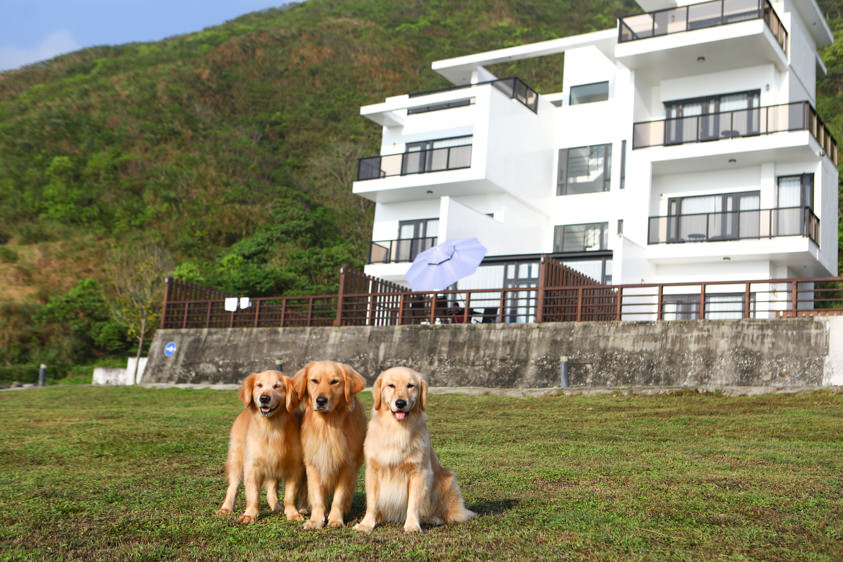 花蓮鹽寮海景民宿|海嵐行館。台11線上絕美純白寵物友善景觀民宿、綠草如茵大草皮 - 第37張圖 花蓮鹽寮海景民宿|海嵐行館。台11線上絕美純白寵物友善景觀民宿、綠草如茵大草皮