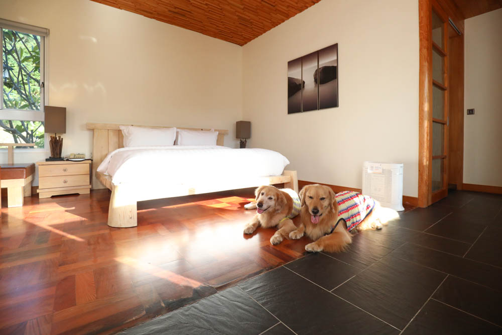 屏東墾丁|墾丁海灣森林精品民宿。寵物專屬庭院房型、擁抱白砂灣海灣、山林美景、墾丁五星級飯店等級的精緻旅宿 - 第25張圖 屏東墾丁|墾丁海灣森林精品民宿。寵物專屬庭院房型、擁抱白砂灣海灣、山林美景、墾丁五星級飯店等級的精緻旅宿