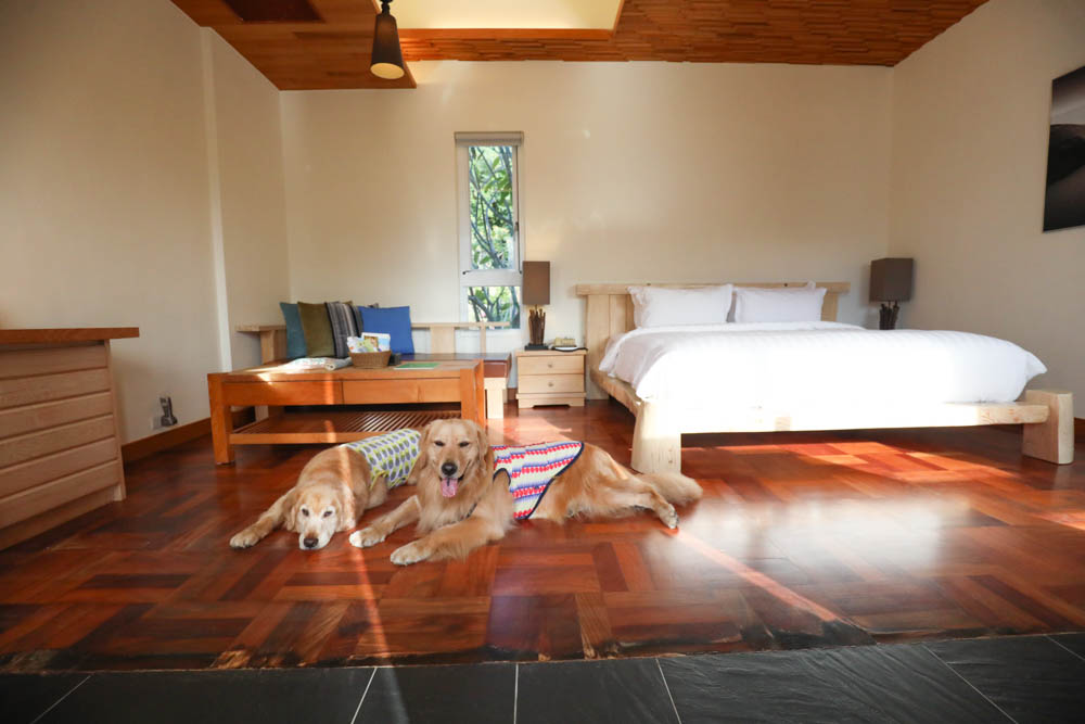 屏東墾丁|墾丁海灣森林精品民宿。寵物專屬庭院房型、擁抱白砂灣海灣、山林美景、墾丁五星級飯店等級的精緻旅宿 - 第20張圖 屏東墾丁|墾丁海灣森林精品民宿。寵物專屬庭院房型、擁抱白砂灣海灣、山林美景、墾丁五星級飯店等級的精緻旅宿