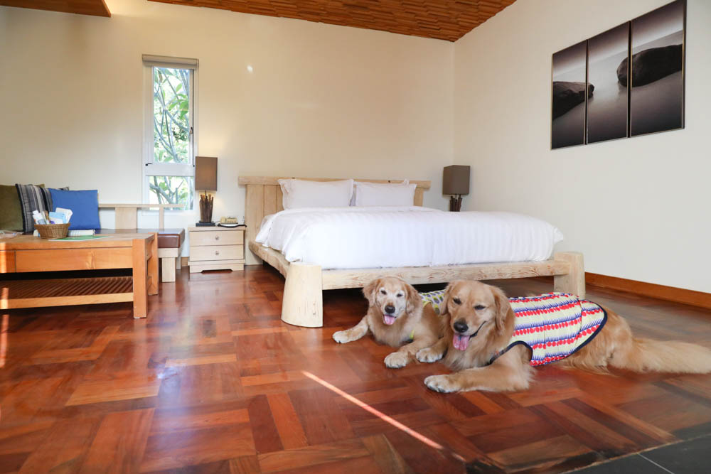 屏東墾丁|墾丁海灣森林精品民宿。寵物專屬庭院房型、擁抱白砂灣海灣、山林美景、墾丁五星級飯店等級的精緻旅宿 - 第23張圖 屏東墾丁|墾丁海灣森林精品民宿。寵物專屬庭院房型、擁抱白砂灣海灣、山林美景、墾丁五星級飯店等級的精緻旅宿